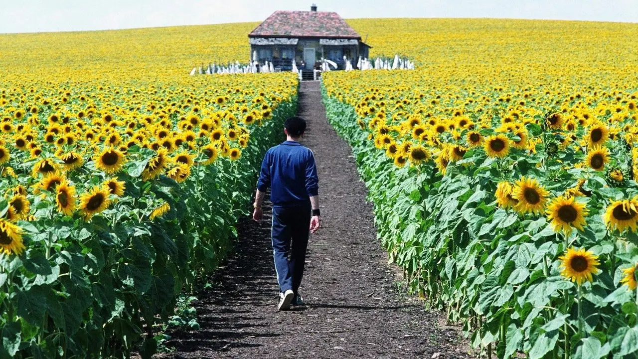 Кадр з фільму «І все освітилося»