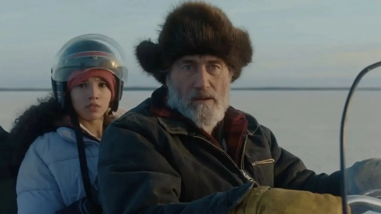Кадр з фільму «Ведмежа шерсть»