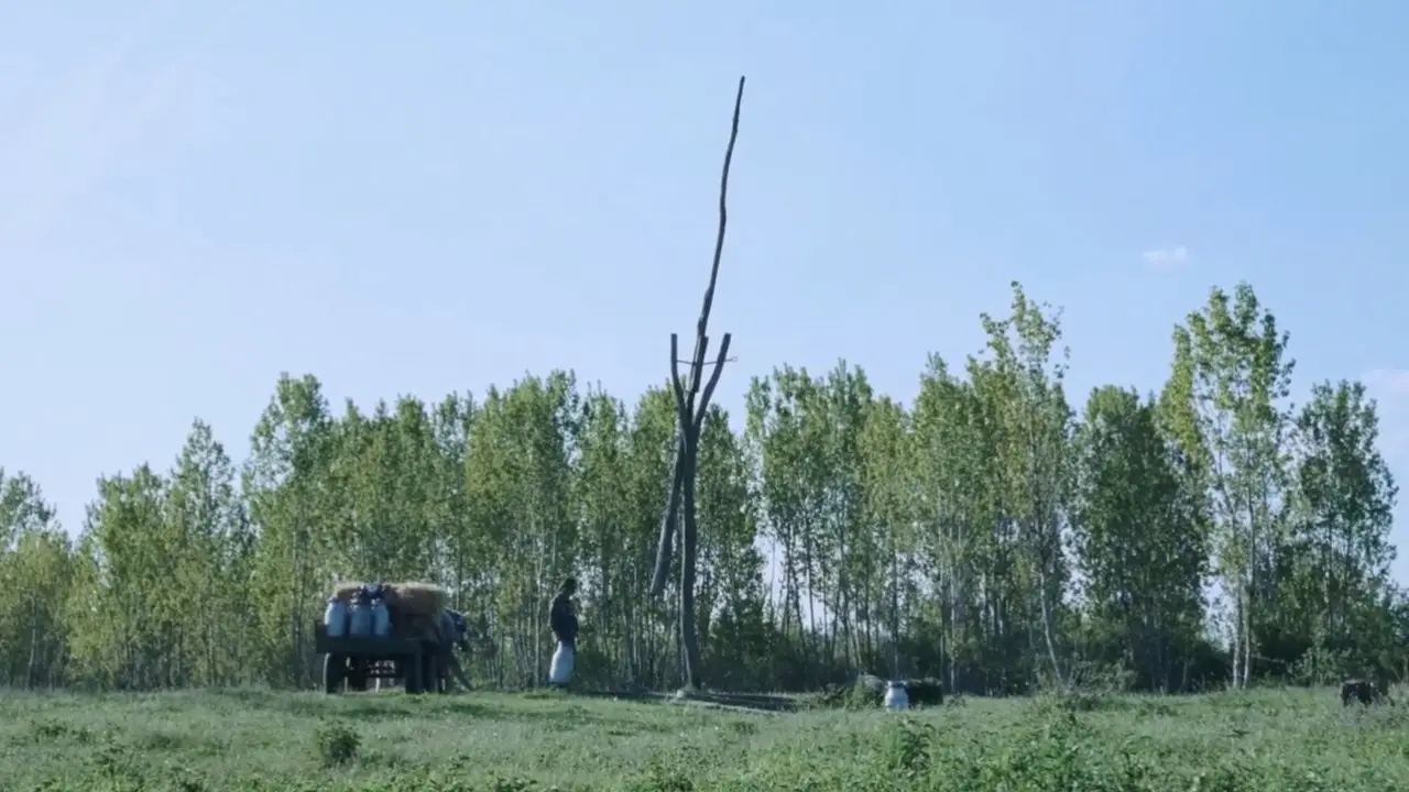 Кадр з фільму «Гикавка»