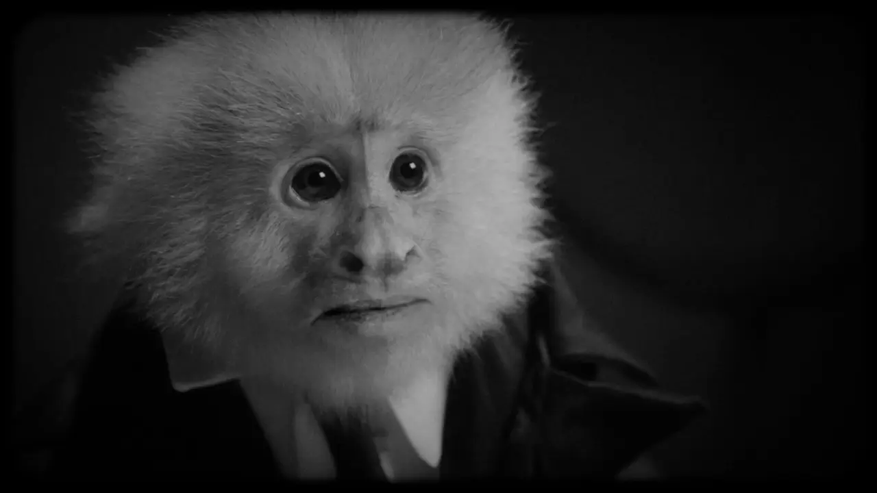 Кадр з фільму «Що зробив Джек?»