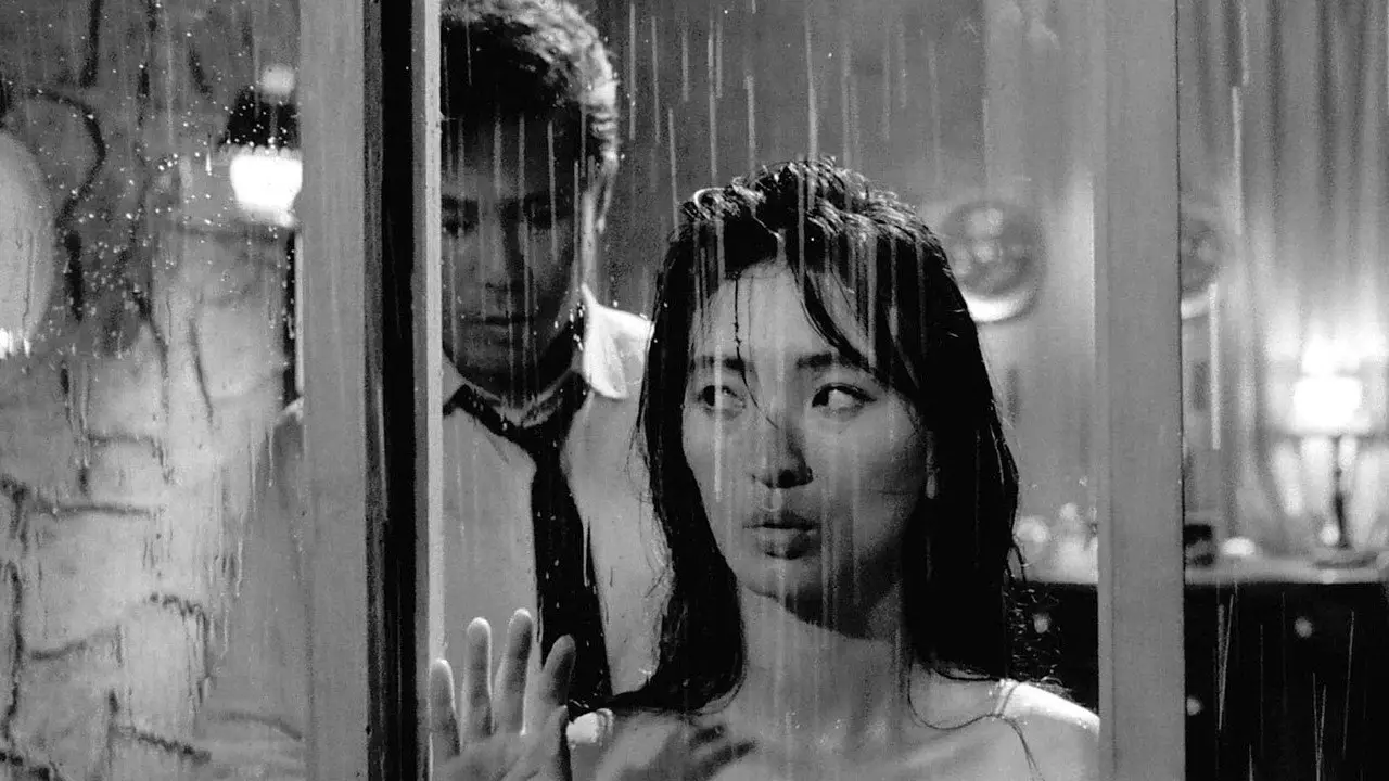 Кадр з фільму «Служниця»