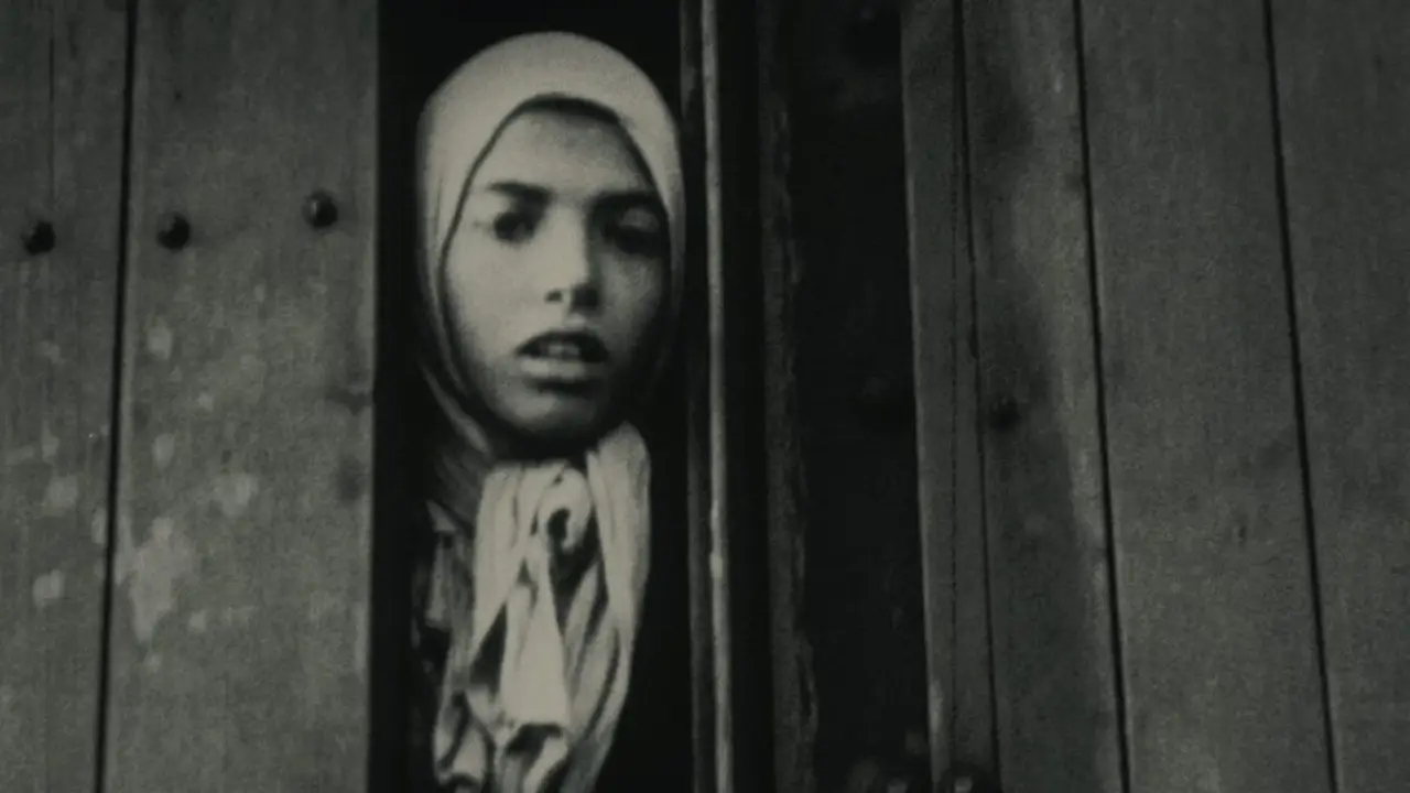 Кадр з фільму «Ніч і туман»