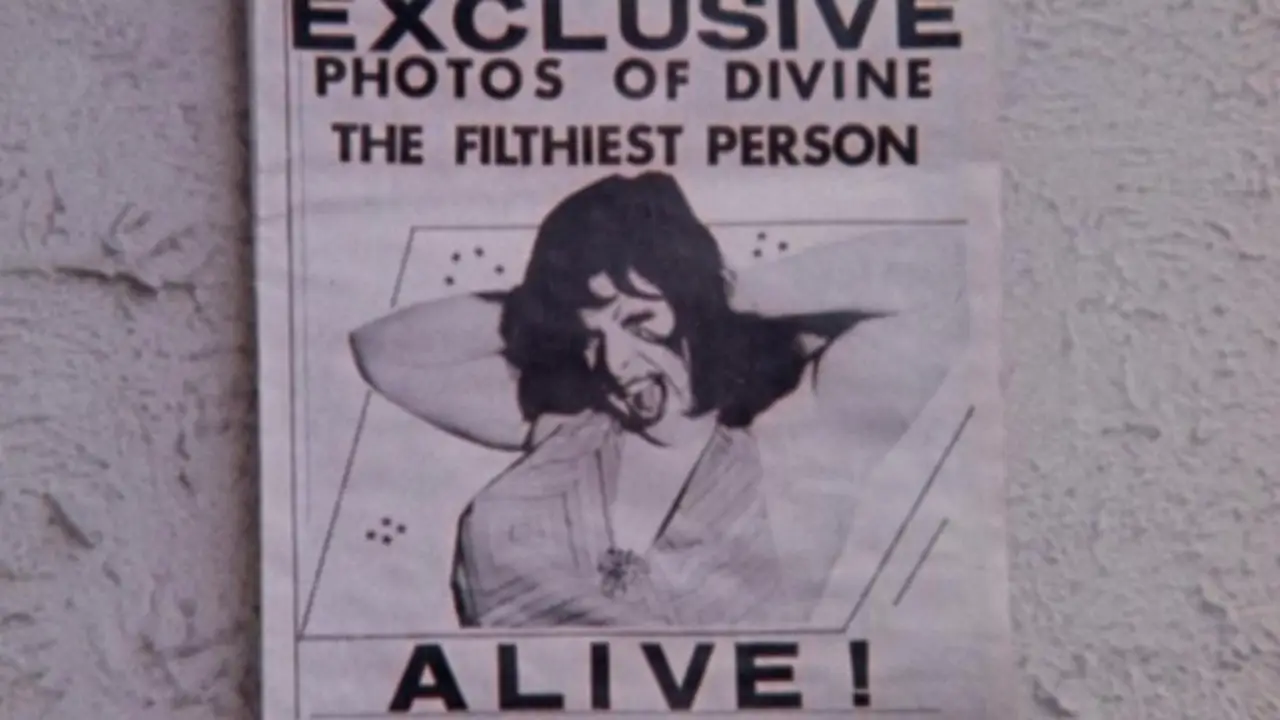 Кадр з фільму «Рожеві Фламінґо»