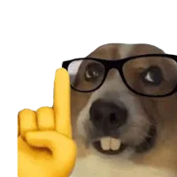 Бідяка